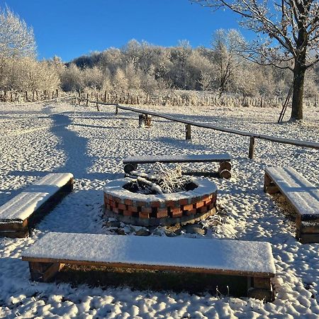 Вилла Casuta Din Stejari-Transalpina Новач-Стрэйни Экстерьер фото